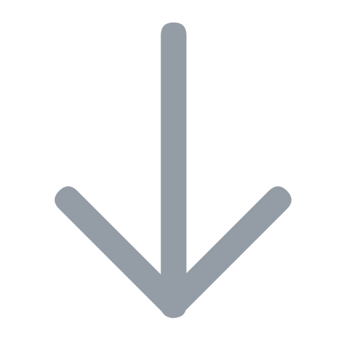 Offline Icon