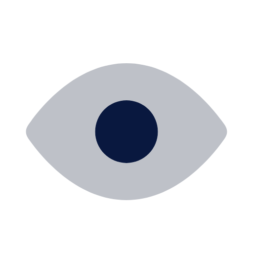 Eye Icon