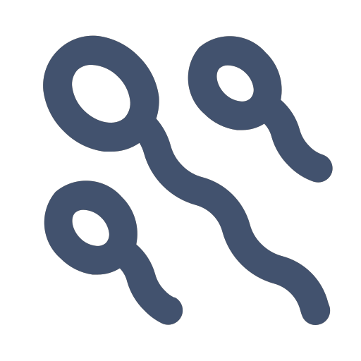 sperms Icon