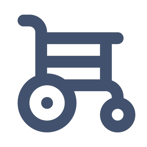 wheelchair-alt Icon