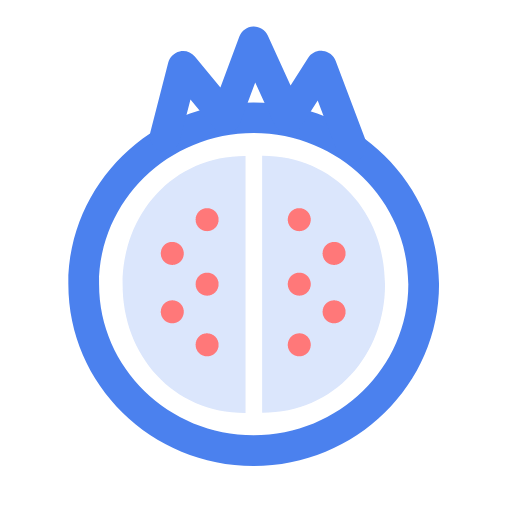 05_ pomegranate Icon
