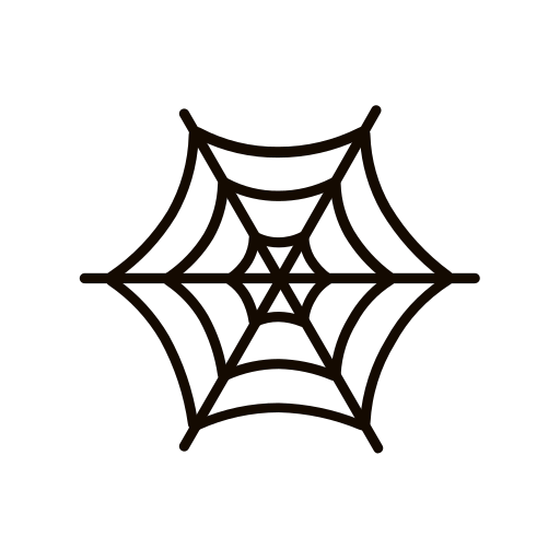 Cobweb Icon