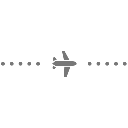 flight_information Icon