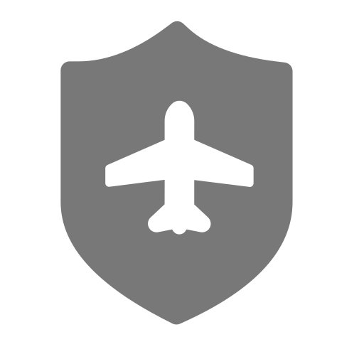 flight_security Icon