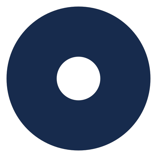 circle radio selected solid Icon
