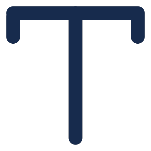 type Icon