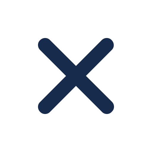 x Icon