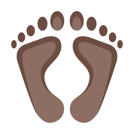 Human Footprints Icon