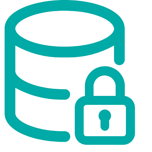 Data authority Icon