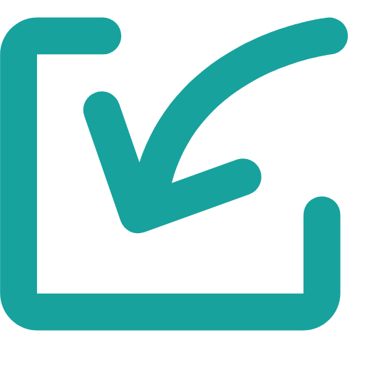 Import Icon