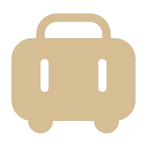 Luggage Deposit Icon