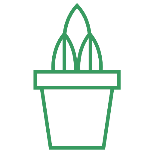 plant-28 Icon