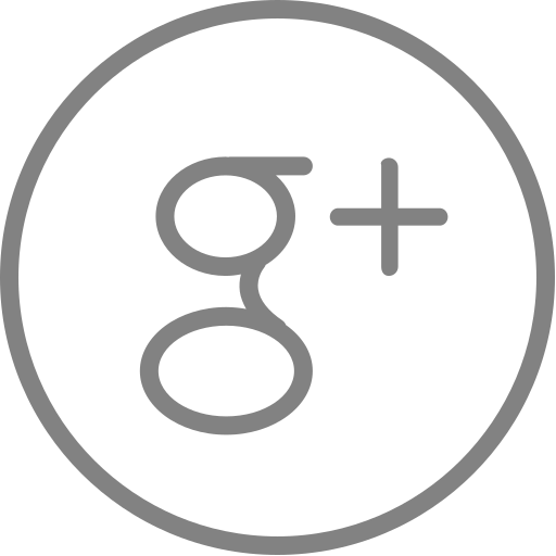 googleplus Icon