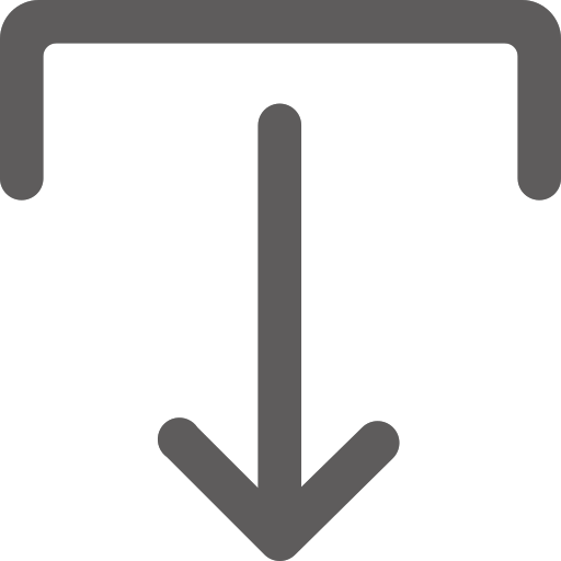 Import Icon