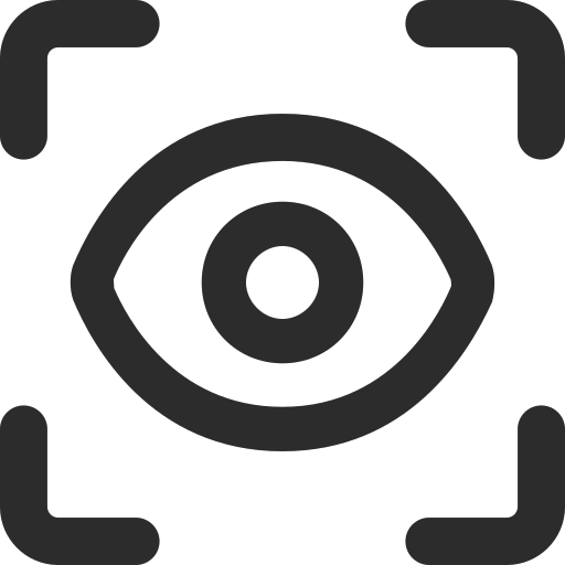 Visual settings Icon
