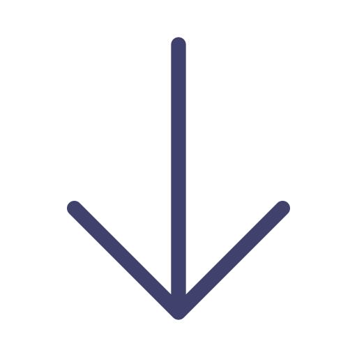 arrow-down Icon