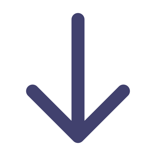 arrow-down Icon