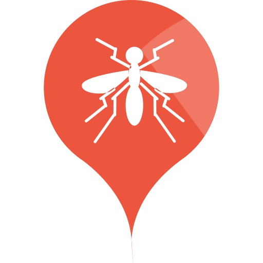 dengue fever Icon