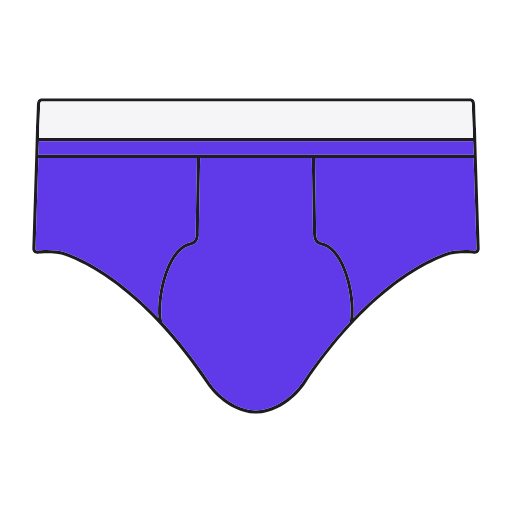 Briefs Icon