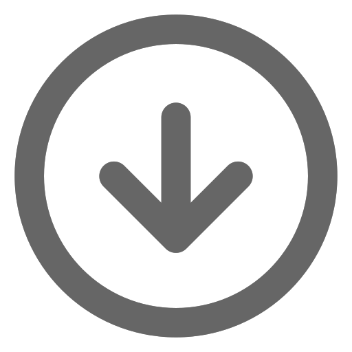 Arrowdowdowncircle lower circle arrow Icon