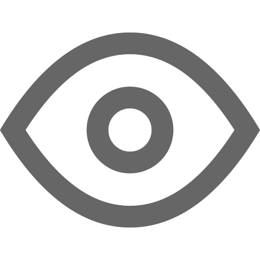 Eye eye Icon