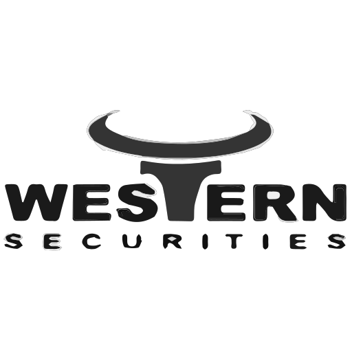 Western securities Icon
