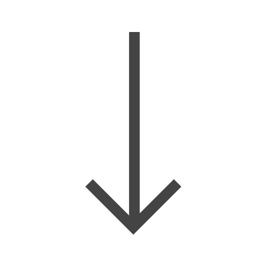 Arrow down Icon