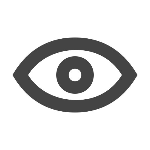 Eye display Icon