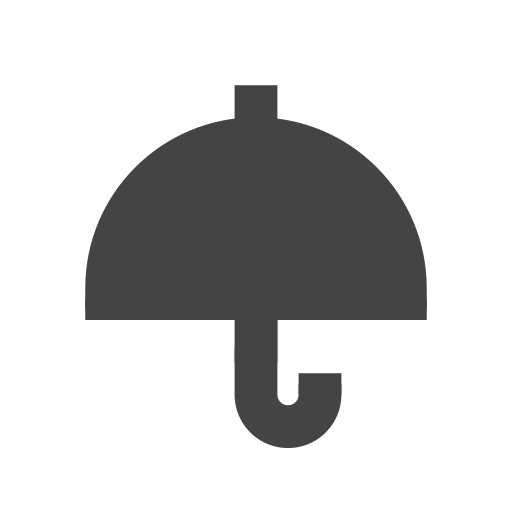 security Icon