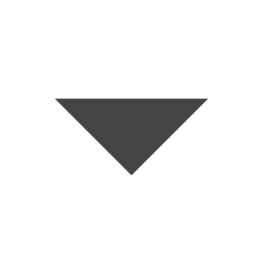 triangle Icon