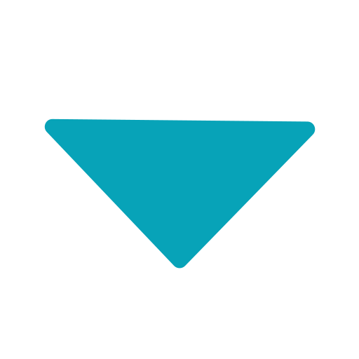 triangle Icon