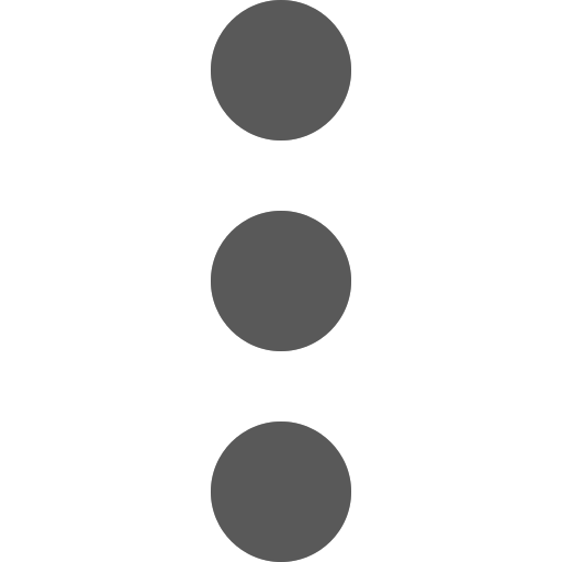 ellipsis-v Icon