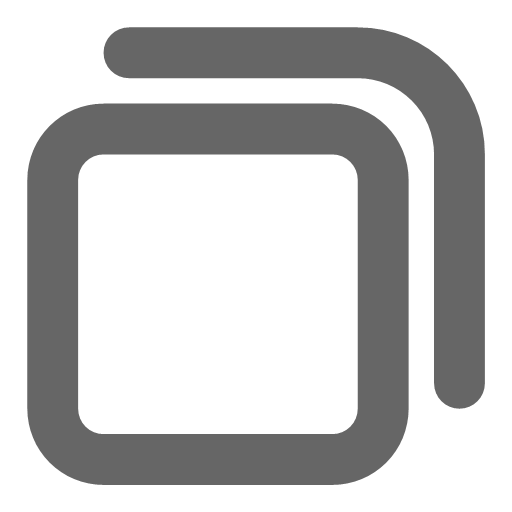 copy icon Icon