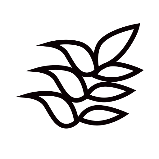 Phellodendron amurense Icon