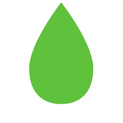 Green leaf Icon