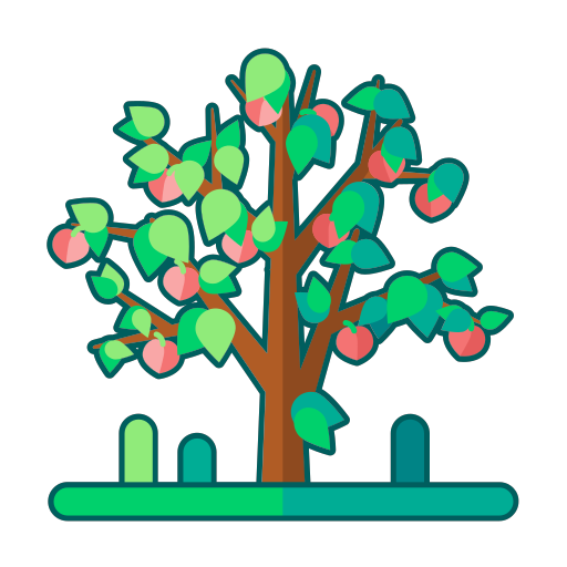 Linear peach tree Icon