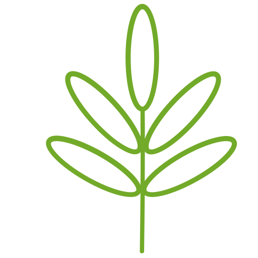 Leaf Icon