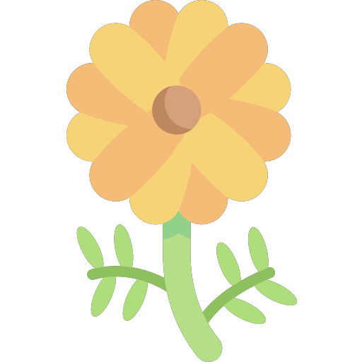 004-marigold Icon