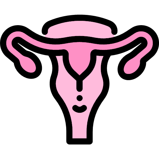 001-uterus Icon
