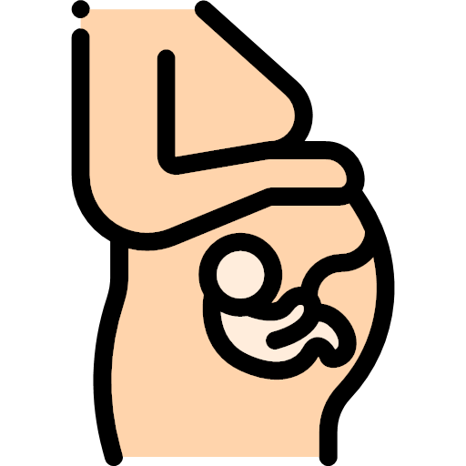 040-pregnant Icon