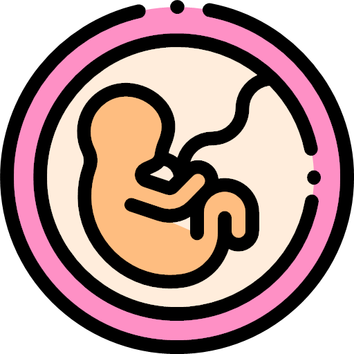 043-fetus Icon