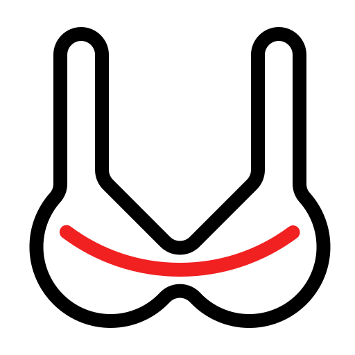 Baoma bra Icon