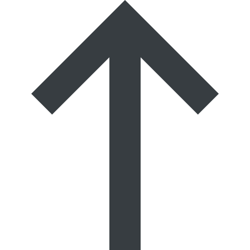 long-arrow-up Icon
