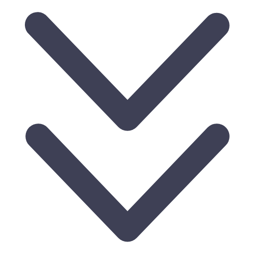 Double line down arrow Icon