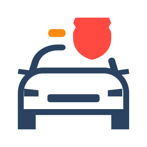 Driving rules Icon