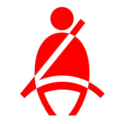 Safety belt Icon
