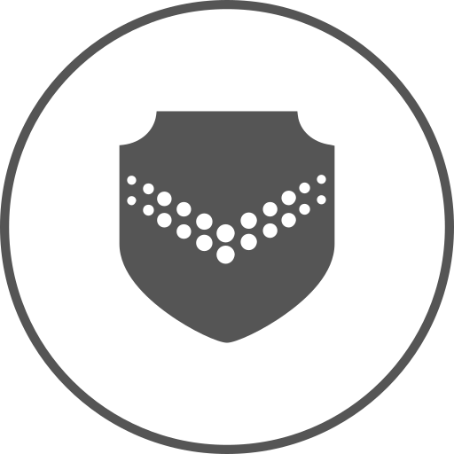 data security Icon