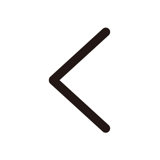Left triangle Icon