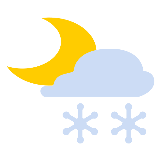 Night - snow shower Icon