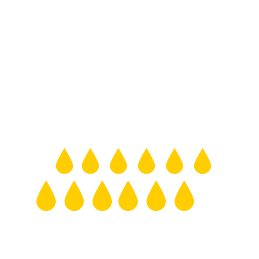 D12 heavy rain Icon